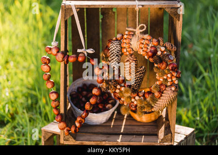 Wiese, Holzkisten, herbstliche Dekoration, detail, Stockfoto