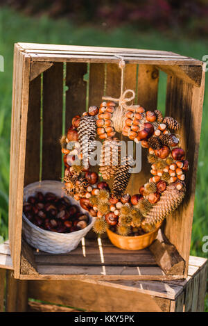 Wiese, Holzkisten, herbstliche Dekoration, detail, Stockfoto