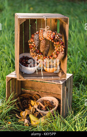 Wiese, Holzkisten, herbstliche Dekoration, Stockfoto