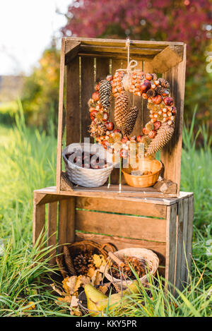 Wiese, Holzkisten, herbstliche Dekoration, Stockfoto