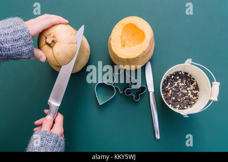 Frau, Detail, Hände, Kürbis, Vogelfutter, Vogelfutter, birdfood, Vogelfutter, Vogelfutter, Stockfoto