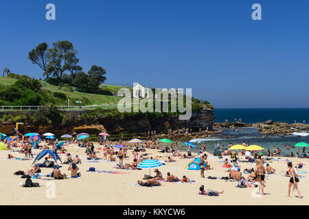 Sonnenanbeter auf Coogee Beach, mit dunningham Park auf der Landspitze im Hintergrund, coogee, Sydney, New South Wales, Australien Stockfoto