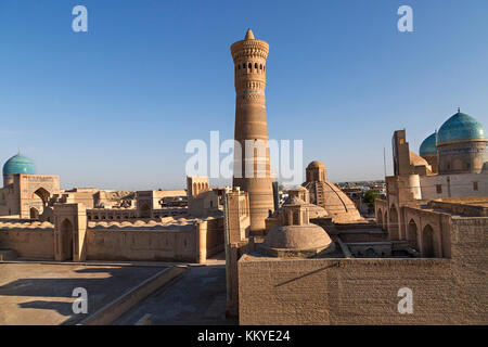 POI Kalon Moschee und Minarett in Buchara, Usbekistan. Stockfoto