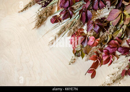 Herbst Bouquet von bunten Blättern von wilden Trauben, Schilf und kleine weiße Blüten, schräg liegend Stockfoto