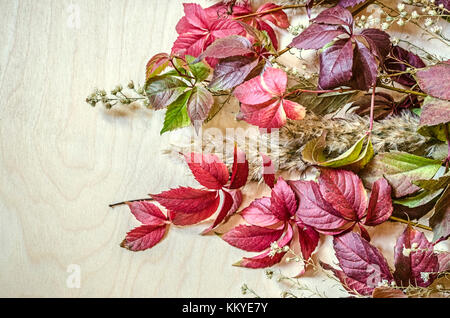 Blumenstrauß aus bunten Blättern von wilden Trauben, Schilf und kleine weiße Blumen auf der Seite Stockfoto