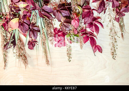 Blumenstrauß aus bunten Blätter von wilden Trauben, Schilf und kleine weiße Blumen auf der Oberseite Stockfoto