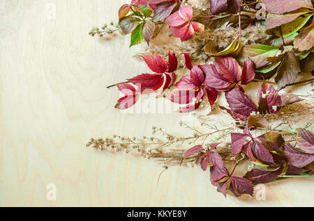Seitliche Lage der bunten Blätter von wilden Trauben, Schilf und kleine weiße Blumen Stockfoto