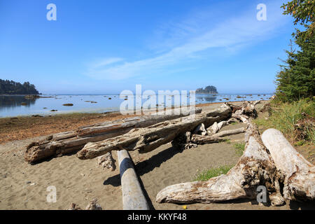 Westlichsten Punkt in den zusammenhängenden 48 Staaten,, Olympic National Park, Washington, USA Stockfoto