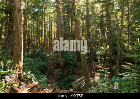 Mystic Strand, Juan de Fuca Coastal Trail in der Nähe von Vancouver Island, sooke, British Columbia, Kanada Stockfoto