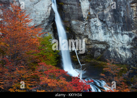 El Chorrillo Wasserfall und Lenga Bäumen im Herbst, in der Nähe von El Chalten, Parque Nacional Los Glaciares, Patagonien, Argentinien, Südamerika Stockfoto