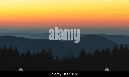 Eine winterliche und bunten Sonnenuntergang in den Vogesen (Frankreich) mit Die dunkle Silhouette der Tannen im Vordergrund. Stockfoto