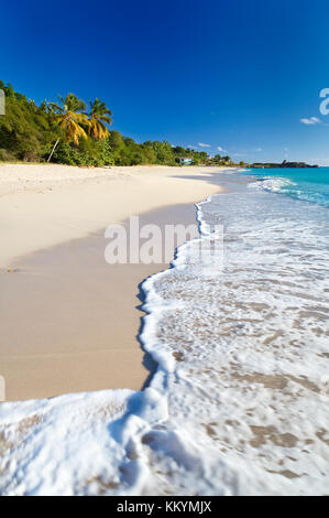 Die schöne Turner Beach in Antigua mit tiefblauen Himmel und Palmen. Stockfoto