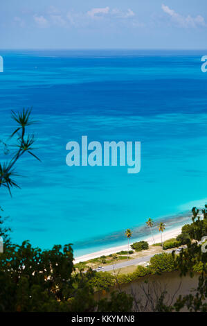 Darkwood Strand mit Palmen und von einem hohen Beobachtungspunkt in Antigua zu sehen. Stockfoto