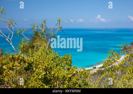 Darkwood Strand mit Palmen von einer Aussichtsplattform in Antigua zu sehen. Stockfoto
