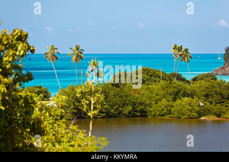 Darkwood Strand mit Palmen von einer Aussichtsplattform in Antigua zu sehen. Stockfoto
