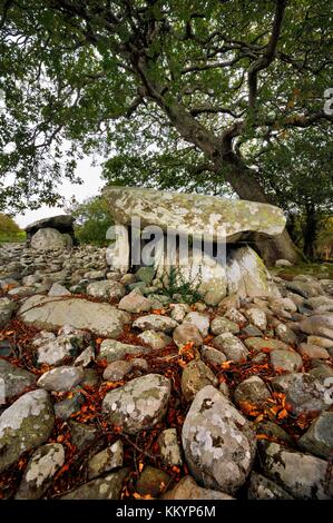 Dyffryn Ardudwy 6000 Jahre alte prähistorische megalithischen Dolmen Grab. Zwei Grabkammern in Dolmen Cairn. Gwynedd, Wales, UK Stockfoto