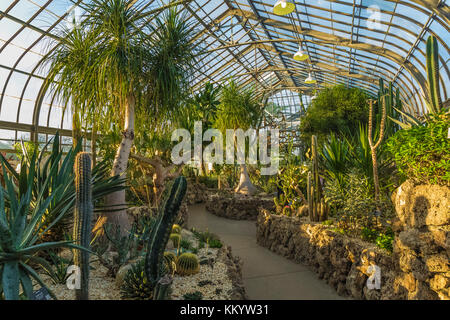 Cactus House in der Anna Scripps whitcomb Conservatory in Belle Isle Park, Detroit, Michigan, USA Stockfoto