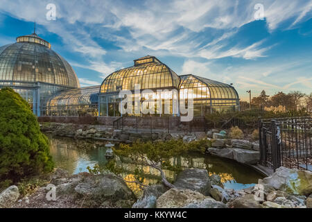 Außenansicht, Vom Seerosenteich, der greenouses Gegenlicht der untergehenden Sonne am Anna Scripps whitcomb Conservatory in Belle Isle Park, Detroit, mic Stockfoto