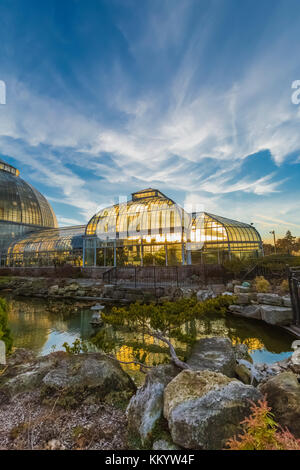 Außenansicht, Vom Seerosenteich, der greenouses Gegenlicht der untergehenden Sonne am Anna Scripps whitcomb Conservatory in Belle Isle Park, Detroit, mic Stockfoto