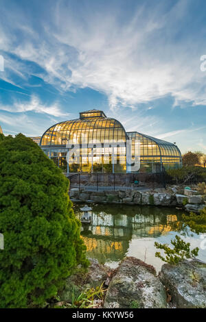 Außenansicht, Vom Seerosenteich, der greenouses Gegenlicht der untergehenden Sonne am Anna Scripps whitcomb Conservatory in Belle Isle Park, Detroit, mic Stockfoto