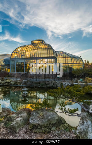 Außenansicht, Vom Seerosenteich, der greenouses Gegenlicht der untergehenden Sonne am Anna Scripps whitcomb Conservatory in Belle Isle Park, Detroit, mic Stockfoto