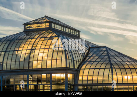 Außenansicht des greenouses Gegenlicht der untergehenden Sonne am Anna Scripps whitcomb Conservatory in Belle Isle Park, Detroit, Michigan, USA Stockfoto