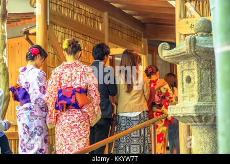 Grüner Tee in Kamakura Stockfoto