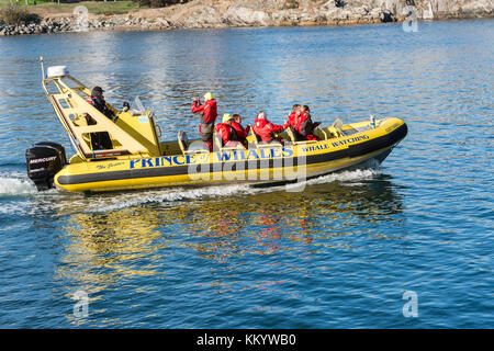 Victoria, British Columbia, Kanada - 11. September 2017: Prince of Whales Whale Watching Boat in Victoria Harbour Stockfoto