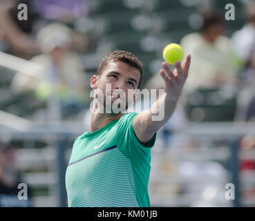 DELRAY BEACH, FL - FEBRUAR 18: Grigor Dimitrov bei den Delray Beach Open im Delray Beach Stadium & Tennis Center am 18. Februar 2016 in Delray Beach, Florida. Personen: Grigor Dimitrov Stockfoto