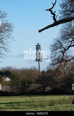 Mobile phone mast Buckinghamshire Stockfoto