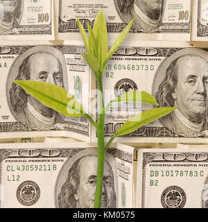 Muster von 100 Dollar Scheine. Geld Hintergrund. Konzept einer Anlage. Stockfoto