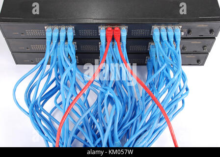 Netzwerk-Hub und Patch-Kabel Stockfoto