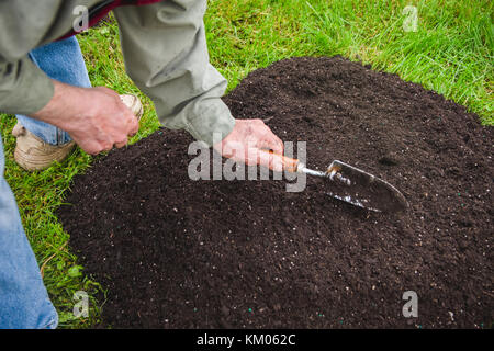 Die Hand eines Mannes Graben in einem Garten mit einem Spaten. Stockfoto