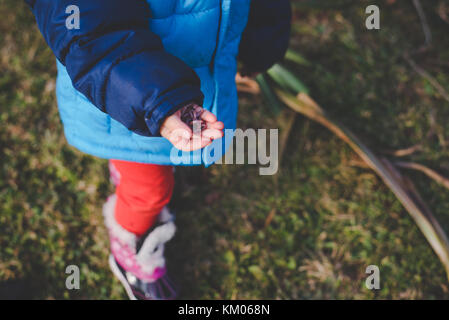 Ein kleines Mädchen, dass Regenwürmer in ihren Händen. Stockfoto