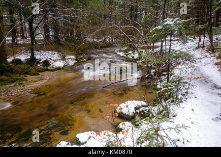 Berg Fluss, Bach, Bach mit Stromschnellen im späten Herbst und frühen Winter mit Schnee, Schlucht Vintgar, Slowenien Stockfoto