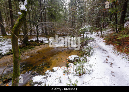 Berg Fluss, Bach, Bach mit Stromschnellen im späten Herbst und frühen Winter mit Schnee, Schlucht Vintgar, Slowenien Stockfoto