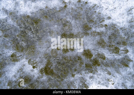 Luftbild des borealen Wald im Winter mit frischem Schnee, die Bäume und Boden mit Tierspuren im Schnee in Kurjenrahka Nationalpark, Finnland Stockfoto