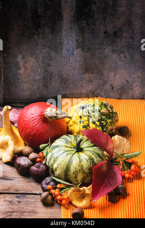 Kürbisse, Nüsse, Beeren und Pilze Pfifferlinge über alten Holztisch. siehe Serie Stockfoto