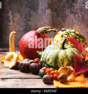 Kürbisse, Nüsse, Beeren und Pilze Pfifferlinge über alten Holztisch. square Bild mit selektiven Fokus Stockfoto