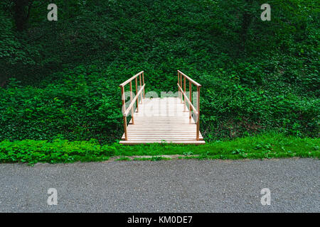 Hölzerne Brücke in tropischen Regenwald. zurück zur Natur, Konzept. Holz Gehweg zum Park. Sommer Landschaft. Straßen-, Brücken- und Wald. Reisen Lifestyle. Stockfoto