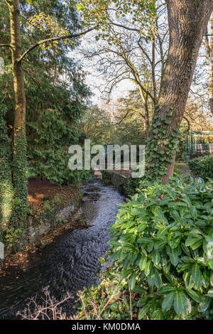 Derwent River in Matlock, Derbyshire, England Stockfoto