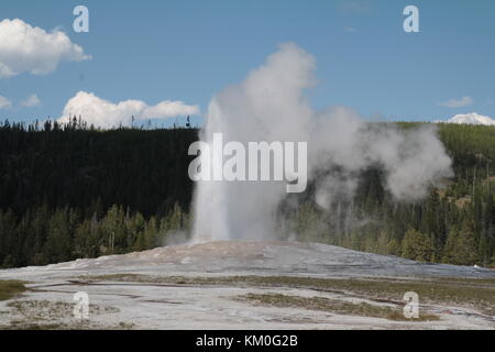 Der Ausbruch der berühmte Old Faithful Geyser, Yellowstone National Park, Wyoming, USA. Stockfoto