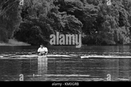 Am frühen Morgen Ruderer erhalten in etwas Training vor der Hitze des Sommers, Ross River, Townsville, Australien Stockfoto