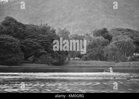 Am frühen Morgen Ruderer erhalten in etwas Training vor der Hitze des Sommers, Ross River, Townsville, Australien Stockfoto