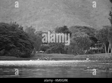 Am frühen Morgen Ruderer erhalten in etwas Training vor der Hitze des Sommers, Ross River, Townsville, Australien Stockfoto