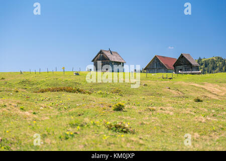 Berghütten, Heimmoseralm, Hinterwildalpen, Wildalpen, Alpen, Steiermark, Österreich Stockfoto