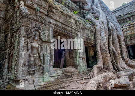 Ta Prohm in Siem Reap, Kambodscha. Diese alte buddhistische Kloster von Jayavarman VII. in der 12. und 13. Jahrhundert später die Lage war für den Film t Stockfoto
