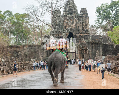 Touristen auf einem Elefanten nähert sich dem südlichen Tor in Angkor Thom in Siem Reap. Angkor Thom war die letzte Hauptstadt des Khmer-reiches. Stockfoto