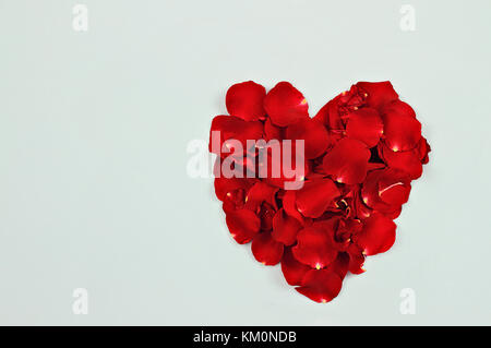 Rote Rosenblätter vor einem blauen Hintergrund mit Raum für Kopieren. Stockfoto