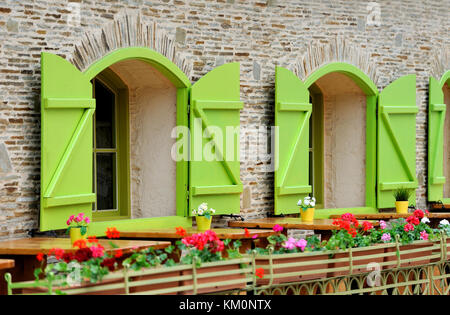 Holz- green house Windows und schönen Straße mit Blumen dekoriert Stockfoto